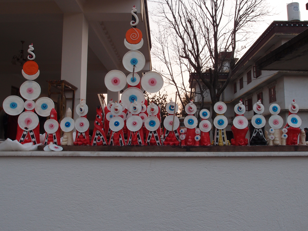 2018-01-15 16 Uhr - Rangjung Yeshe Institute (Foto) 